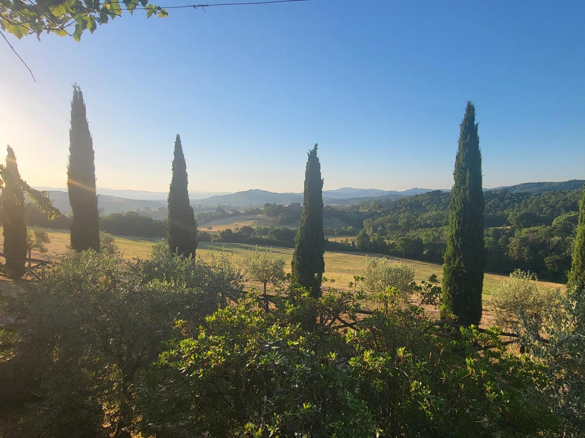 Luxury 1-Bedroom House With The Pool In Tuscany. Ангиари Екстериор снимка
